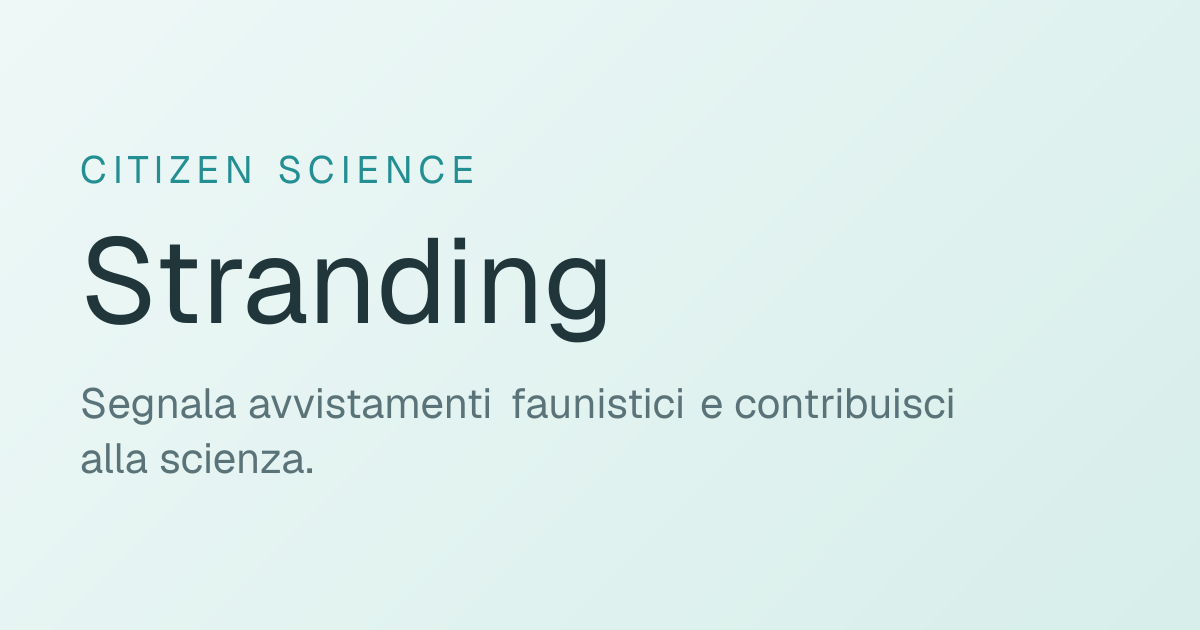 After 4 years and two published papers, my colleague and I are launching Stranding, a citizen scienc logo